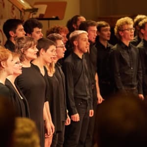 BEvocal - der Belgische Jugendnationalchor