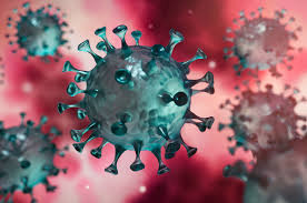 Kultur und das Corona-Virus