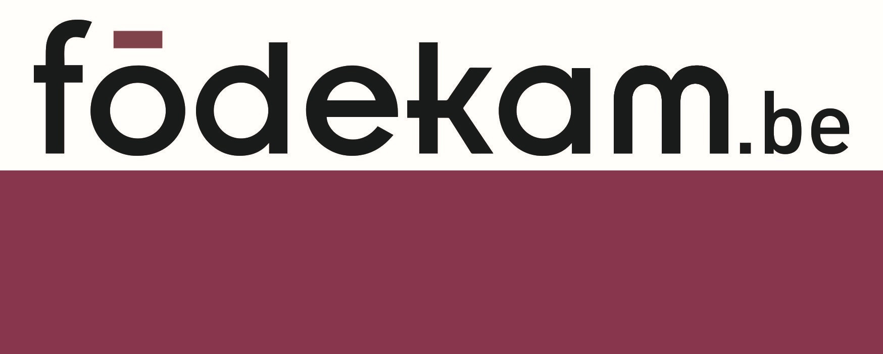 Aufruf zur Mitarbeit im "FÖDEKAM-Team"